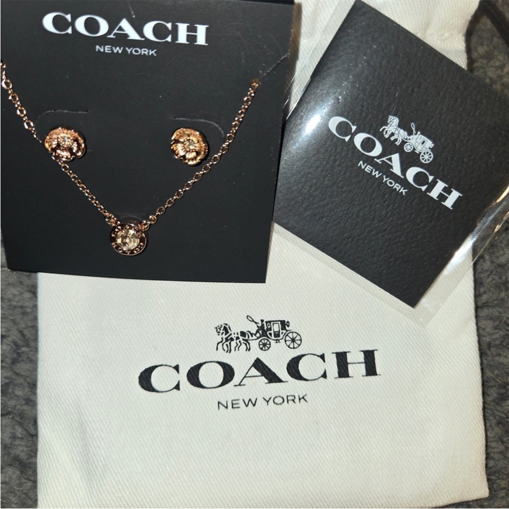 Coach Rose Gold Necklace and Earring Set - Picture 4 of 6